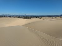 Dunes - Looking Back.jpg